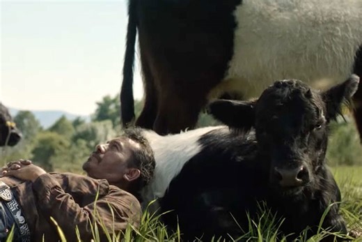 Yes, those are real ‘Oreo cows’ in Oreo’s new milk-dunking commercial