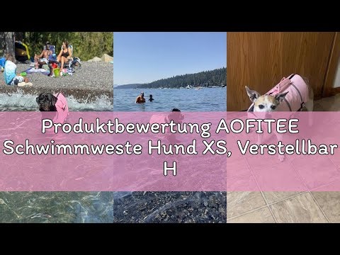 Produktbewertung AOFITEE Schwimmweste Hund XS, Verstellbar Hundeschwimmweste Rettungsweste Hund Mit