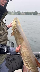 TikTok video - 7520843741146533175 #7520843741146533175 | Tanner Bruss Fishing Guide