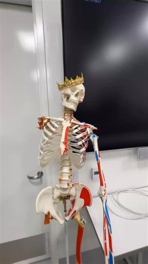 Master’s in Biotechnology PSM Program on Instagram: "A day in life in biotech by Rand! #usfca #usfbiotech #usfcabiotech #adayinlife #biotech"