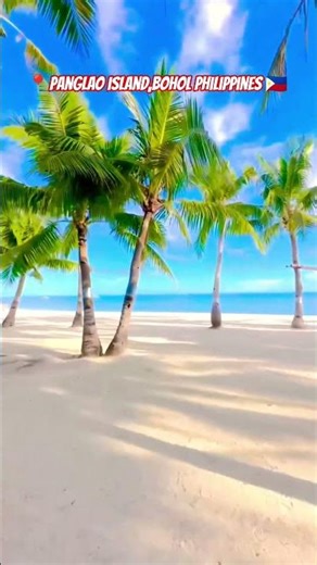 PANGLAO BOHOL PHILIPPINES 🇵🇭 #travelphilippines #boholtours #shorts
