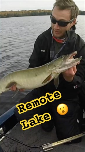 REMOTE LAKE MUSKY HUNT! | Scouting new water for muskies! #fishing #muskyfishing #muskie #musky