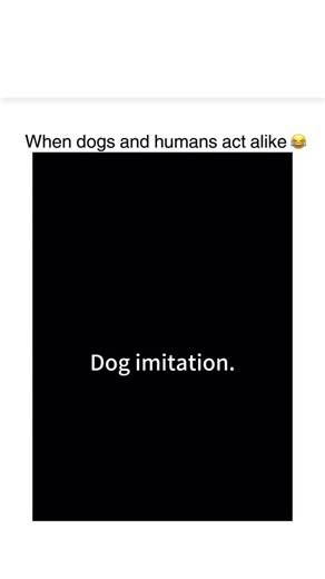 Fan based on Instagram: "The hilariously uncanny moments when dogs and their owners display synchronized behavior proving that spending enough time together creates mirrored personalities, matching mannerisms, and similarities questioning who’s influencing whom. These aren’t coincidental resemblances — these are deliberate or unconscious matching behaviors including identical sleeping positions, synchronized yawning, matching facial expressions during situations, similar walking styles, coordina