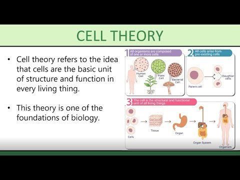 Cell Principles and Cell Theory