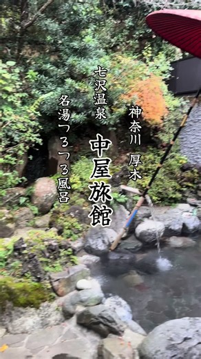 静岡の七沢温泉日帰り旅オススメガイド