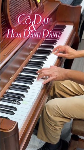 CỎ DẠI VÀ HOA DÀNH DÀNH Piano Hướng dẫn piano #thayhoangdaydan #pianofingers