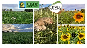 Comment se lancer dans l’agroécologie en 2024 ? - RTBF Actus