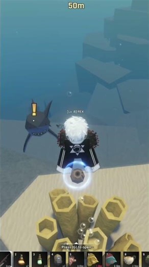 Never fight or catch a shark, okay? 🤣🤣 #shorts