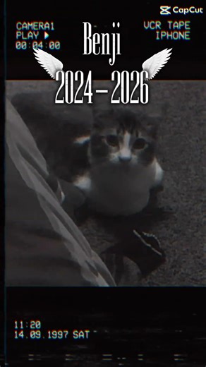 The goat died #ad #shorts #yeeps #roblox #recroom #haveitoldyoulatelythatiloveyou #helpme