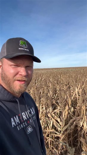What is Milo? #sorghum #kansas #farming #milo #harvest25 | Peterson Farm Bros