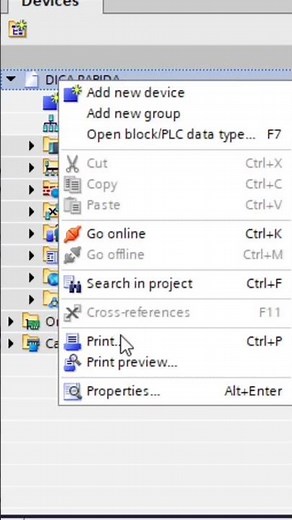 Configurando PLCSIM ADVANCED TIA PORTAL SIEMENS #siemens #tiaportal #plcsimadvanced #professorkv