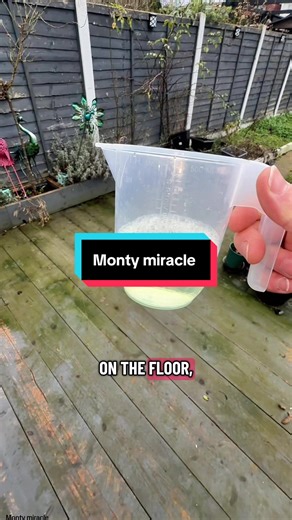Monty Miracle Outdoor Cleaner: Effortless Spring Cleaning