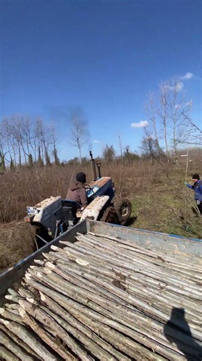 A tractor is pulling a trailer loaded with wood out of muddy terrain.