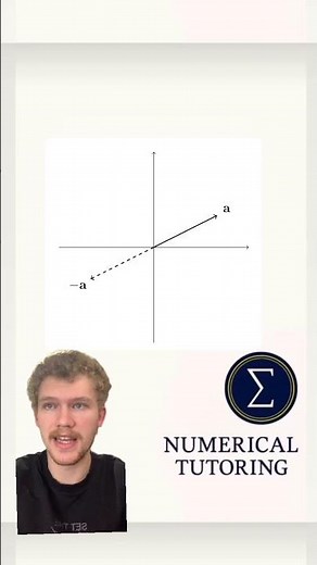 Vector Multiplication by -1 Explained (Why the Direction Reverses)