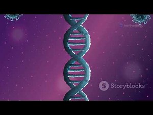 what does DNA stand for?