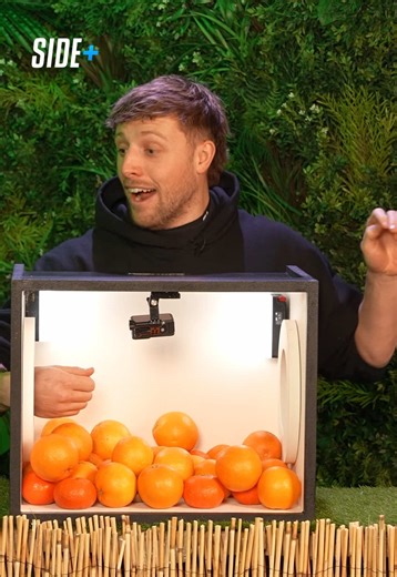 Harry's Calm Reaction in the Box Challenge