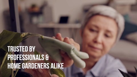 Mighty Mint Peppermint Plant Protection Spray for Insects, Gnats, Fungus, Mites, and Disease, 16 oz