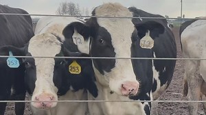 Ranchers, politicians celebrate new USDA office in Northern Colorado