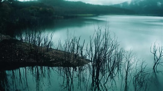 MUSIC VIDEO IN 12 HOURS 🥀 Set your reminder: https://bit.ly/3MVH0RM | Jacob Lee