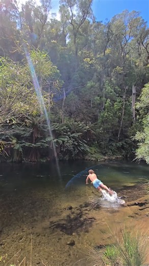 270 reactions · 8 comments | Spring in the Victorian High Country | Nick ‘Honey Badger’ Cummins | Facebook