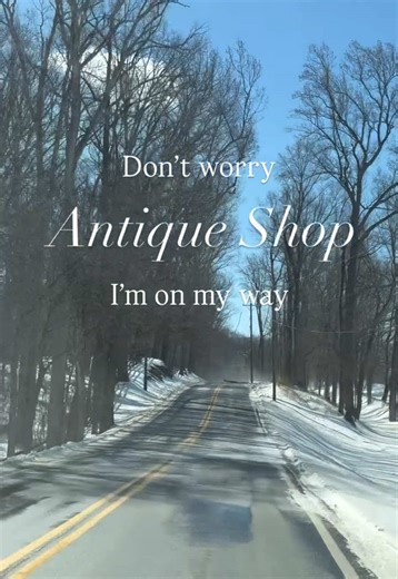 Snow, wind, fallen trees? Certain things are worth the drive. 🤍❄️ Any guesses what antique store I was driving to?! #snow #virginia #winter #antique #antiques