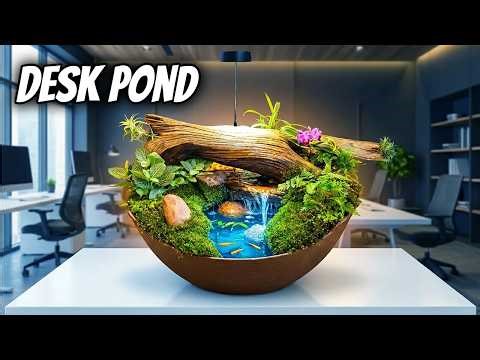 DIY Mini Desk Pond With Exotic Micro Fish