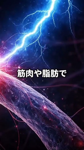 肘をぶつけて「ジーン」とする場所の名前 #人体の不思議 #肘 #ファニーボーン