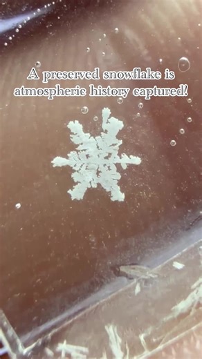 Unique Preserved Snowflake Art: Nature's Tiny Miracle