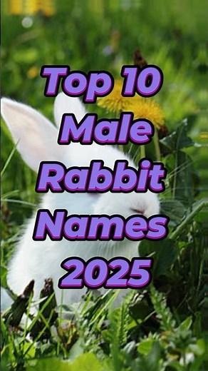 Top 10 Male Rabbit Names 2025 🐇✨ | Cute & Cool Bunny Name Ideas! #shorts #rabbitnames #petnames