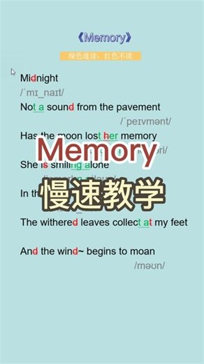 Memory 慢速教学