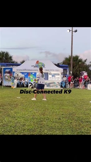 #cotonsaddie vs disc-connected K9’s