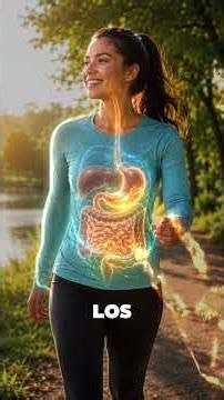 ¿Cómo funciona el sistema digestivo? | Así transforma los alimentos en energía