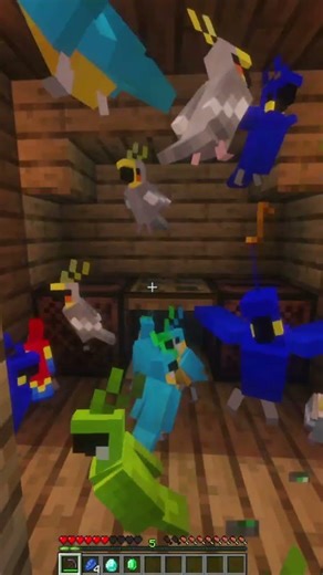 Minecraft Parrot Dancing#shorts