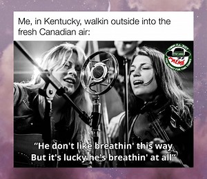 Startin’ to get a little hazy out here The Local Honeys | Think I’ll Just Stay Here And Meme