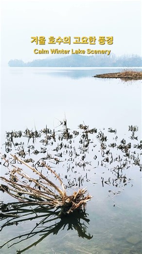 겨울 호수의 고요한 풍경. 다산생태공원 Calm Winter Lake Scenery 冬の湖の静けさ #sonorama #photorama #filmcamera #포토라마 #소노라마