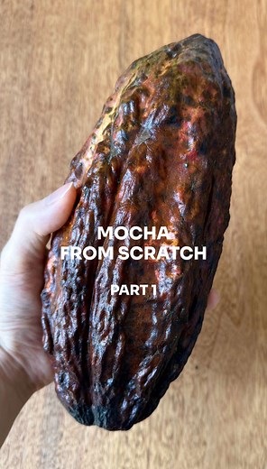 How to Make Mocha from Scratch Using a Real Cacao Pod