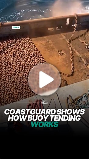 The whole process is really satisfying 🤩 | Daily Mail Australia