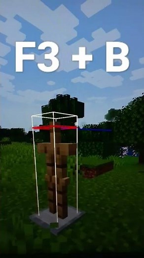 How to Show Hitboxes #minecraft