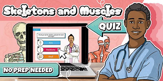 Skeletons and Muscles PowerPoint Quiz