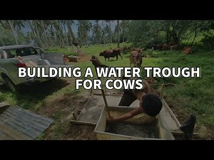 Low budget build of a water trough for cows