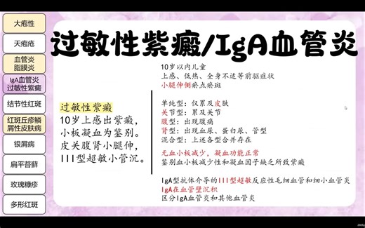 速通皮肤病学11——过敏性紫癜/IgA血管炎