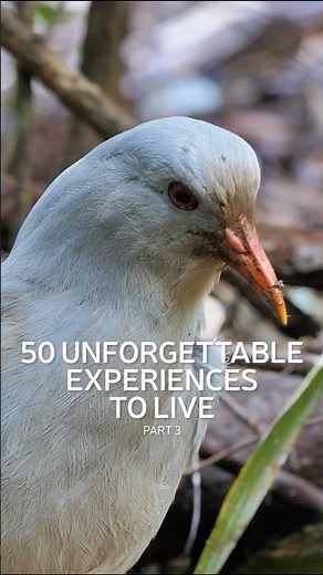 🔥 Top 50 must-do experiences in New Caledonia (3/5) #TopExperiences