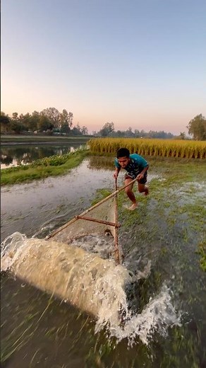 Amazing Traditional Push Net Fishing in Rural Fields #fishing