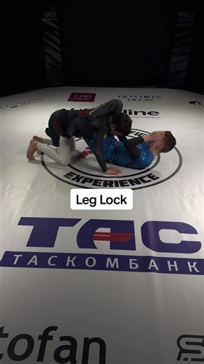 Understanding Legal Techniques in MMA: Triangle and Leg Lock