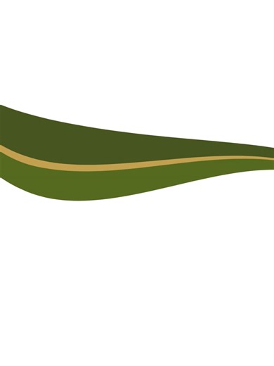 Don’t miss our Seedling Production Short Course at Buhle Farmers Academy — practical, hands-on training that gives you the foundation to grow smarter and harvest better.🌱 Limited spaces available! 📅Date: 23 - 27 February 2026 📍Location: Delmas campus, Mpumalanga 📲 WhatsApp us now: 063 287 2732 📞Call us today: 010 001 4320 Secure your spot and start growing with confidence #Buhlefarmersacademy #seedlings #delmas #SkillsForSuccess #FutureFarmers #training #fypシ゚viralシfypシ゚ #skillstraining #Ne