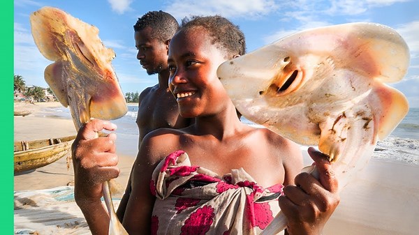 Exploring Madagascar’s Hidden Food Culture