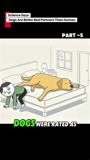 Science says Dogs are better Bed partners than Human ||