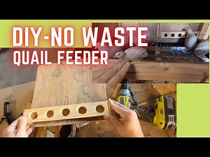 No waste, Hang-On Quail Feeder-DIY for quail breeder cages.