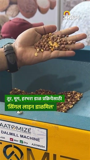 Dal Mill Machine: तूर, मूग, हरभरा डाळ प्रक्रियेसाठी 'सिंगल लाइन डालमिल' फायदेशीर | Agrowon