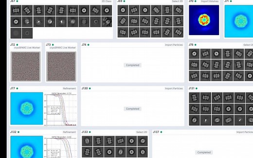 用于结构生物学和化学物理学的CryoSPARC工作流程概述(自动生成字幕-中英)